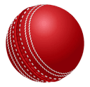 Cricket Ball